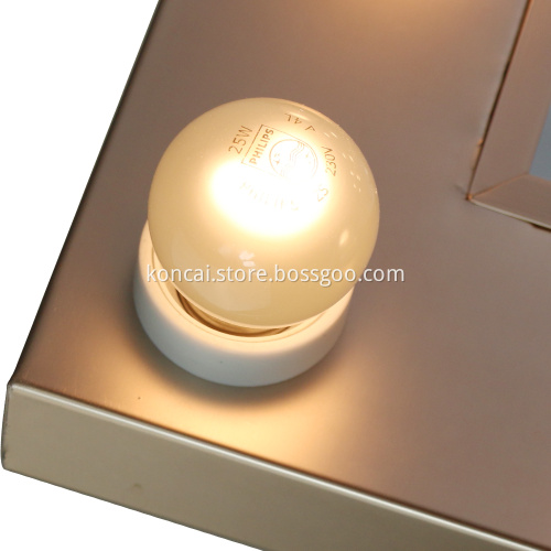 Professional Portable Makeup Operated Mirror Led Light